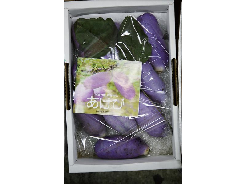 時今浪花賑活気あふれる天下の台所