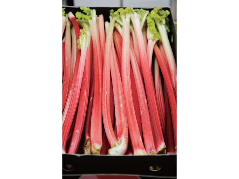 時今浪花賑活気あふれる天下の台所