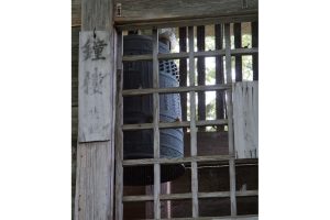 東北緑色革命情報都市「平泉」