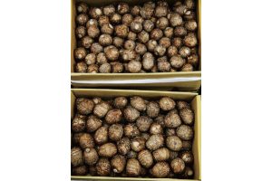 時今浪花賑活気あふれる天下の台所