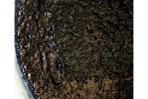 阿波へ阿波藍の誕生