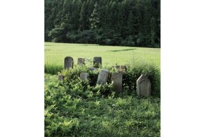 東北緑色革命自在房蓮光が開いた平安時代の荘園