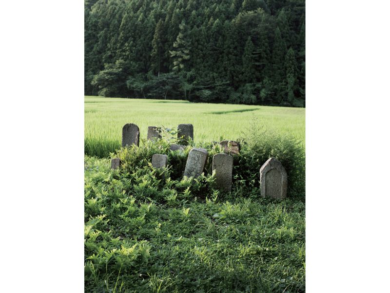 東北緑色革命自在房蓮光が開いた平安時代の荘園