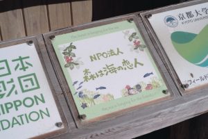 雪代水が育むカキ 宮城・気仙沼