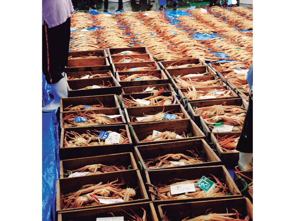 蟹と鳥取の物語松葉がにに沸く岩美町