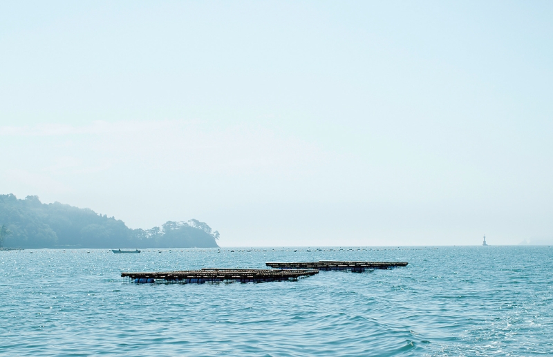 東北緑色革命風景の力、土地の力