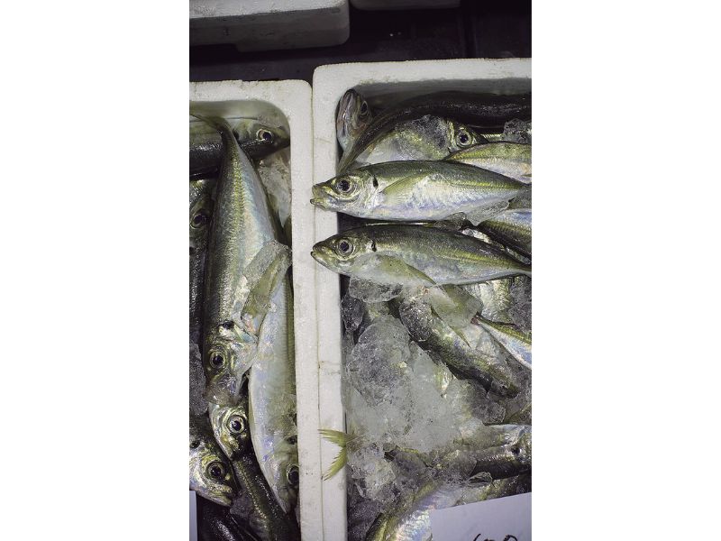 最西端の島、福江鬼門と繁栄