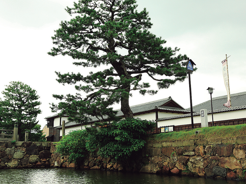 不昧公の松江・数寄者