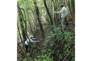 丹波・松茸山物語