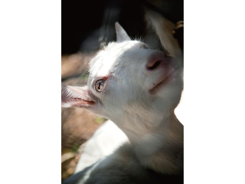 Sacred Places in Okinawa