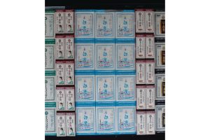 天領 飛騨高山荘厳な空気が流れる東山寺町