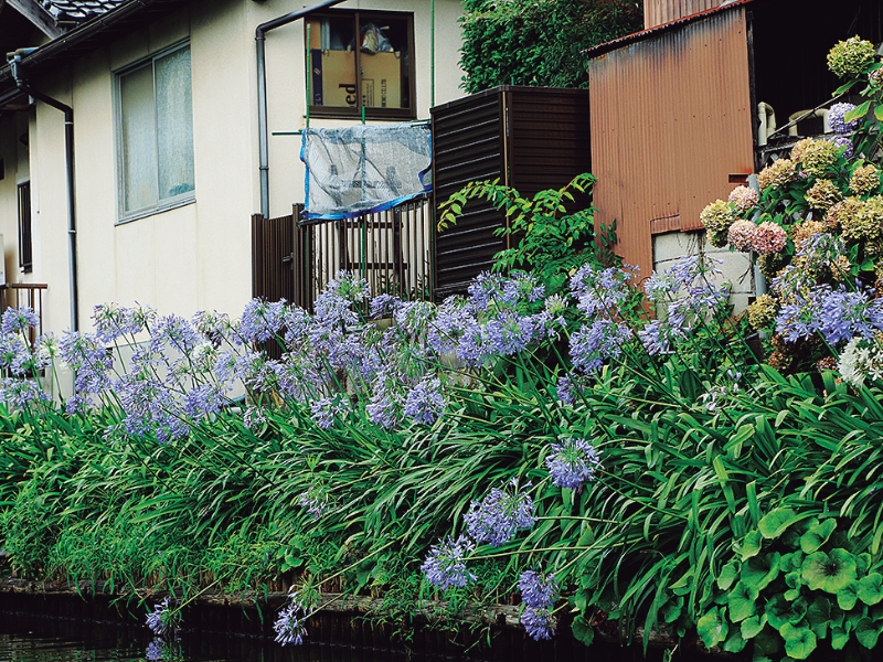 不昧公の松江・数寄者