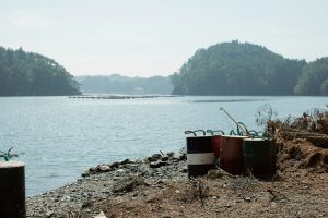 東北緑色革命風景の力、土地の力
