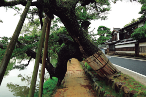 不昧公の松江・数寄者