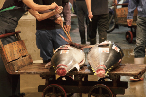 時今浪花賑活気あふれる天下の台所