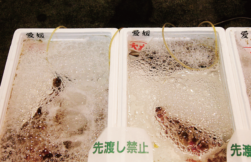 時今浪花賑活気あふれる天下の台所