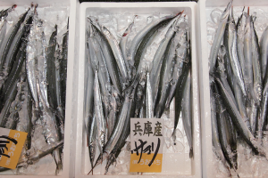 時今浪花賑活気あふれる天下の台所