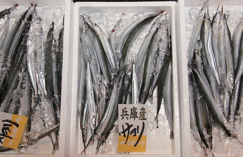 時今浪花賑活気あふれる天下の台所