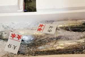 時今浪花賑活気あふれる天下の台所