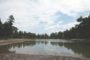 東北緑色革命情報都市「平泉」