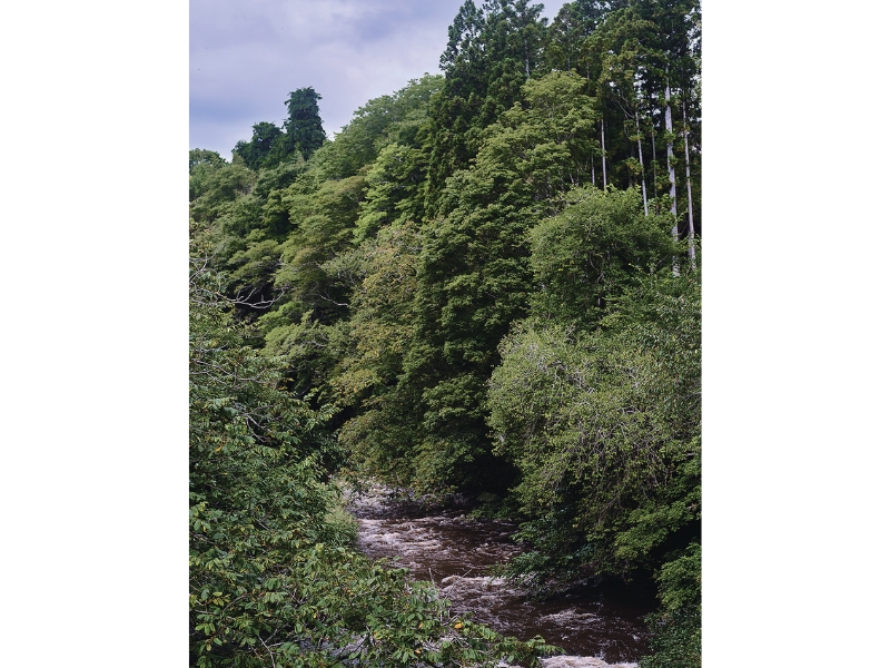 雪代水が育むカキ 宮城・気仙沼
