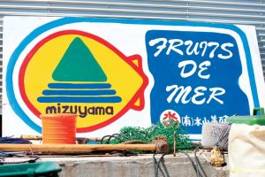 東北緑色革命風景の力、土地の力