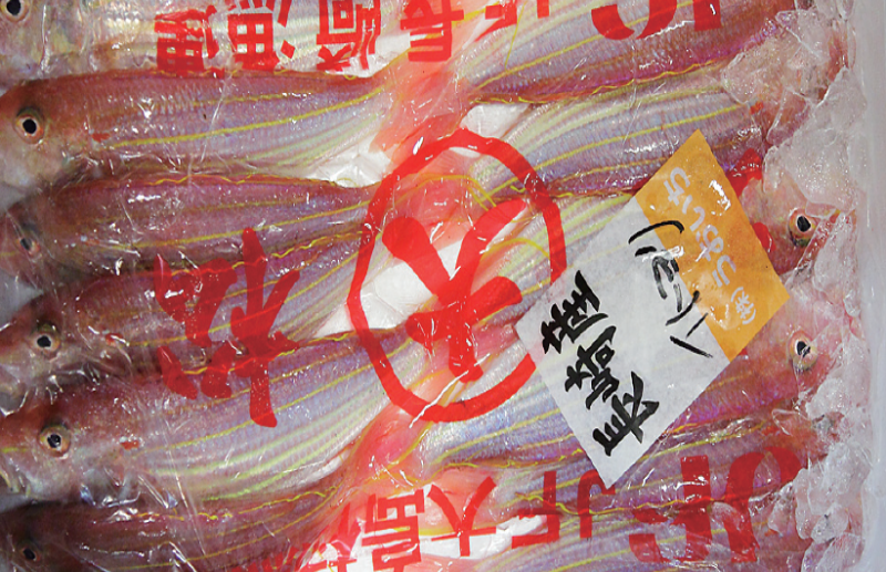 時今浪花賑活気あふれる天下の台所