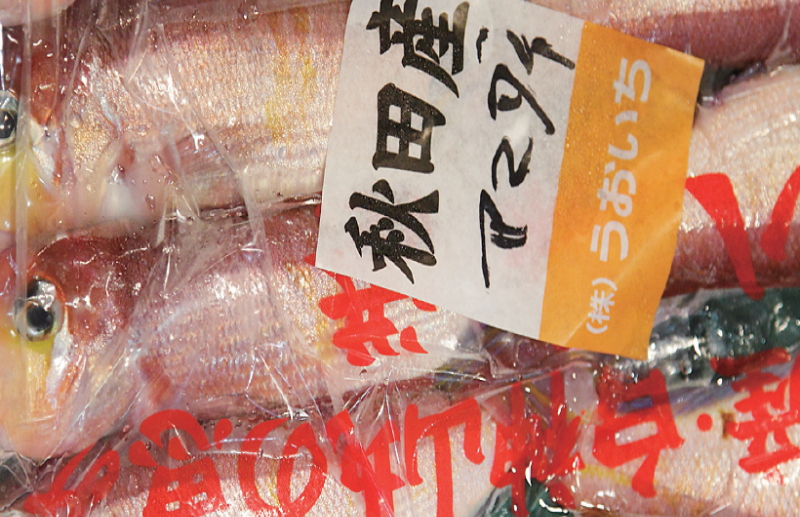 時今浪花賑活気あふれる天下の台所