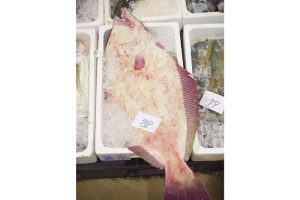 最西端の島、福江鬼門と繁栄