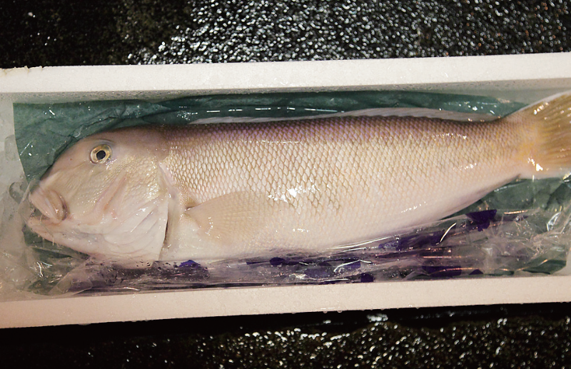 時今浪花賑活気あふれる天下の台所