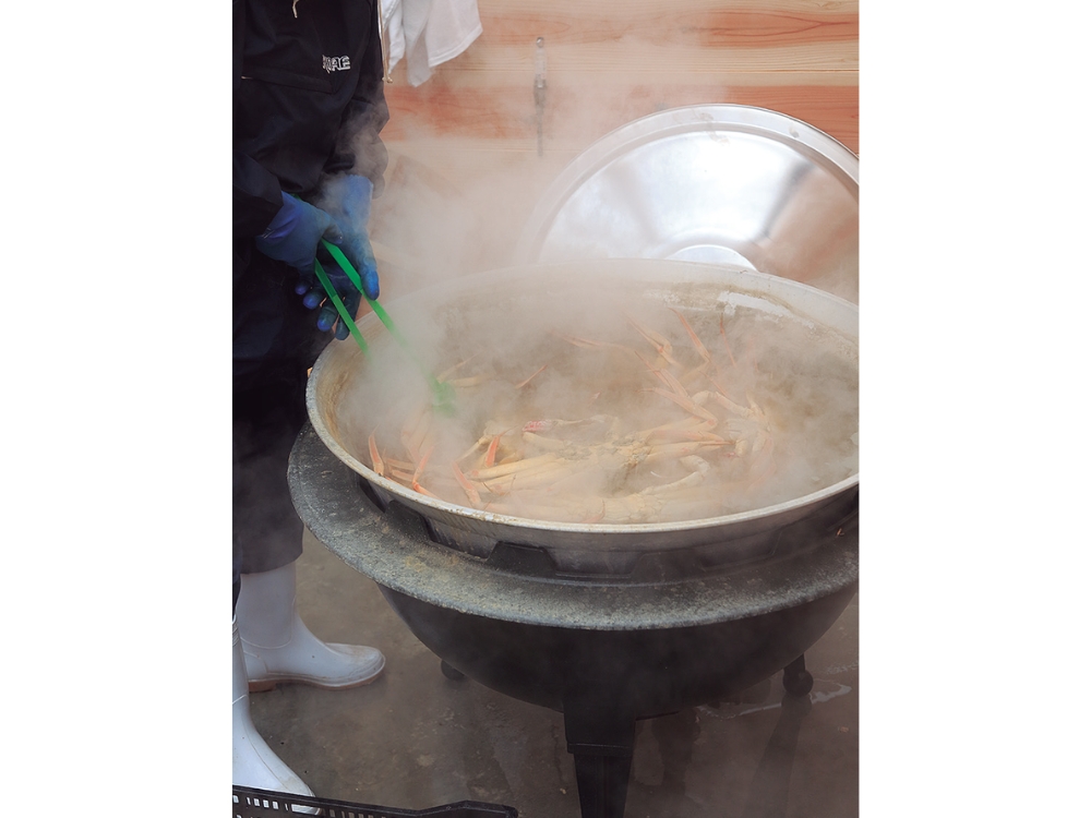 蟹と鳥取の物語松葉がにに沸く岩美町