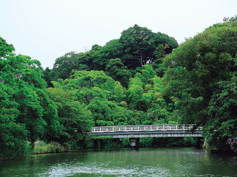不昧公の松江・数寄者
