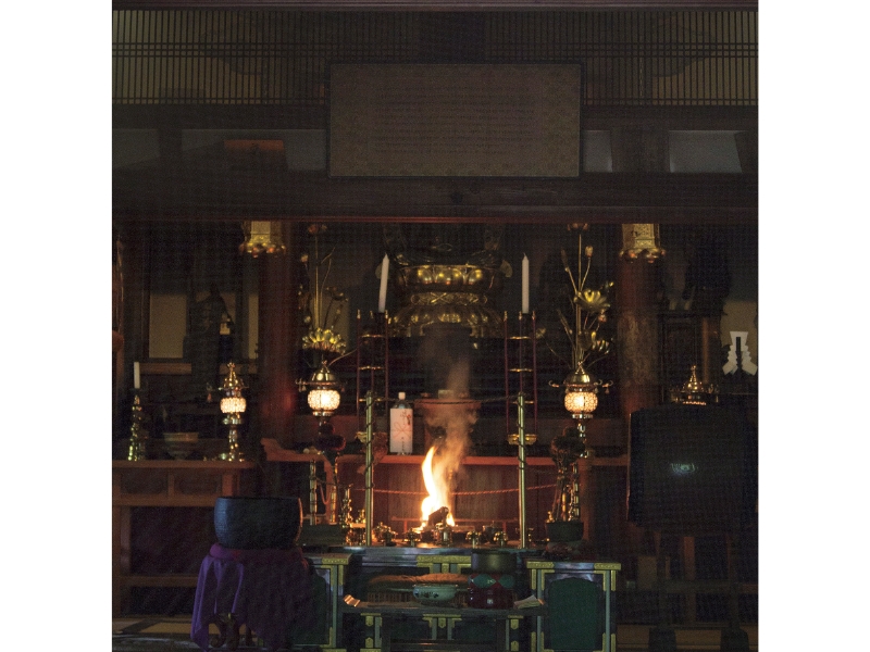 東北緑色革命情報都市「平泉」