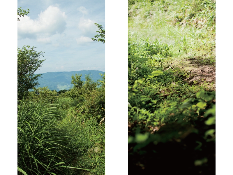 東北緑色革命風景の力、土地の力