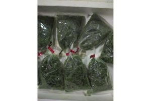 最西端の島、福江鬼門と繁栄