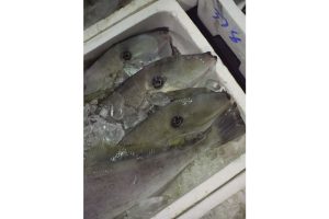 最西端の島、福江鬼門と繁栄