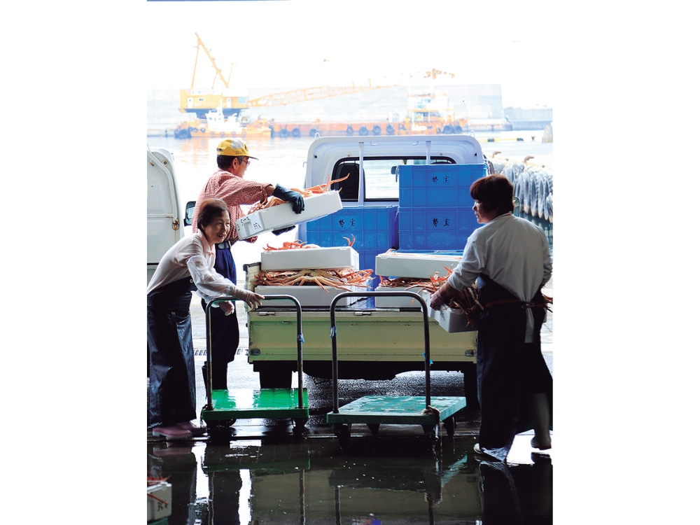 蟹と鳥取の物語松葉がにに沸く岩美町