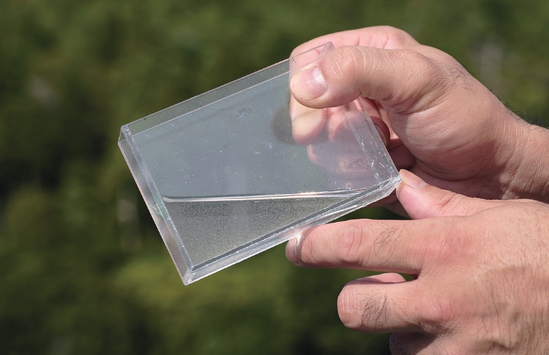 雪代水が育むカキ 宮城・気仙沼