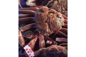 蟹と鳥取の物語松葉がにに沸く岩美町