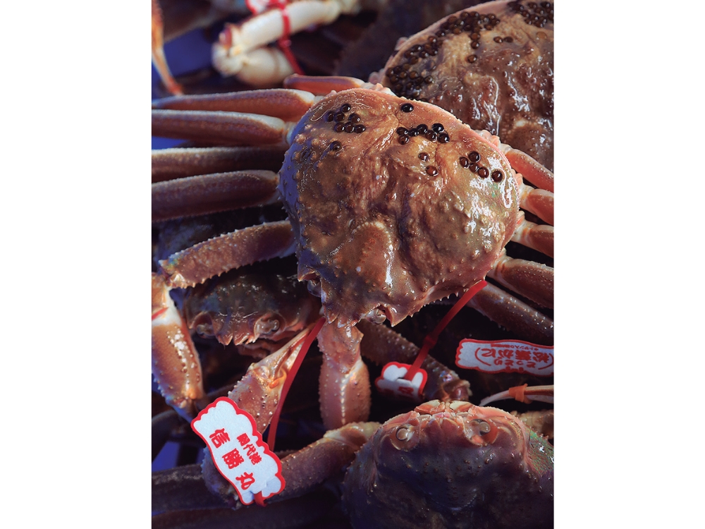 蟹と鳥取の物語松葉がにに沸く岩美町