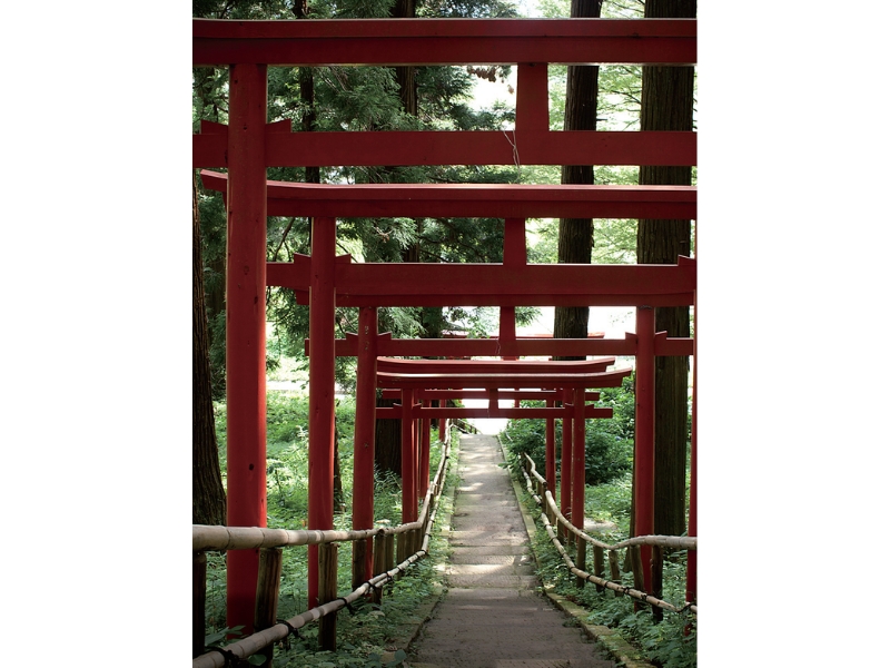 東北緑色革命情報都市「平泉」