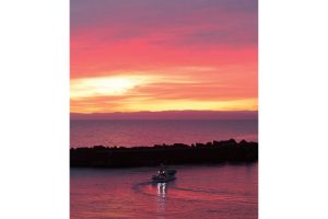 不可思議な羊の正体羊の島――焼尻島