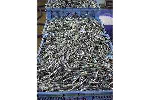 最西端の島、福江鬼門と繁栄